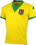 Wales Football Shirt
