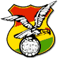 Bolivian Football Federation Logo