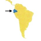 Ecuador in the World: Map