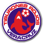 Veracruz logo